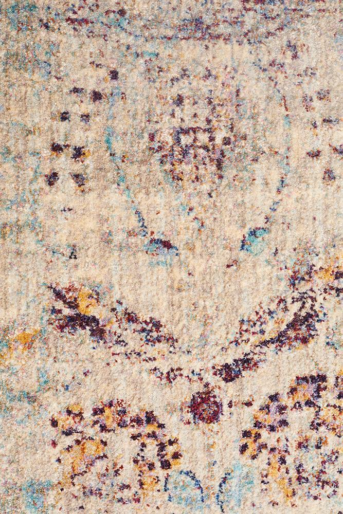 Evelyn Multi-Colour Distressed Rug