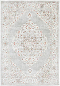 Thumbnail for Emily Traditional Grey & Rose Floral Pattern Rug