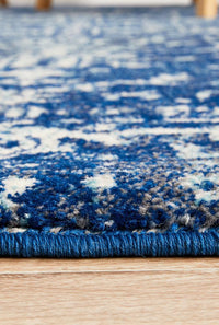 Thumbnail for Esther Transitional Blue & White Rug