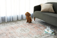 Thumbnail for Coco Kindred Peachy Pink Modern Distressed Machine Washable Rug